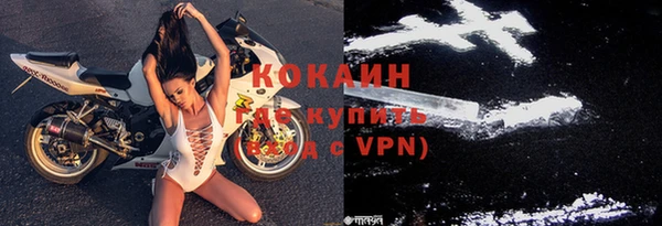 Альфа ПВП Новозыбков