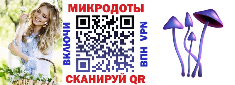 Галлюциногенные грибы прущие грибы цены наркотик Полярные Зори